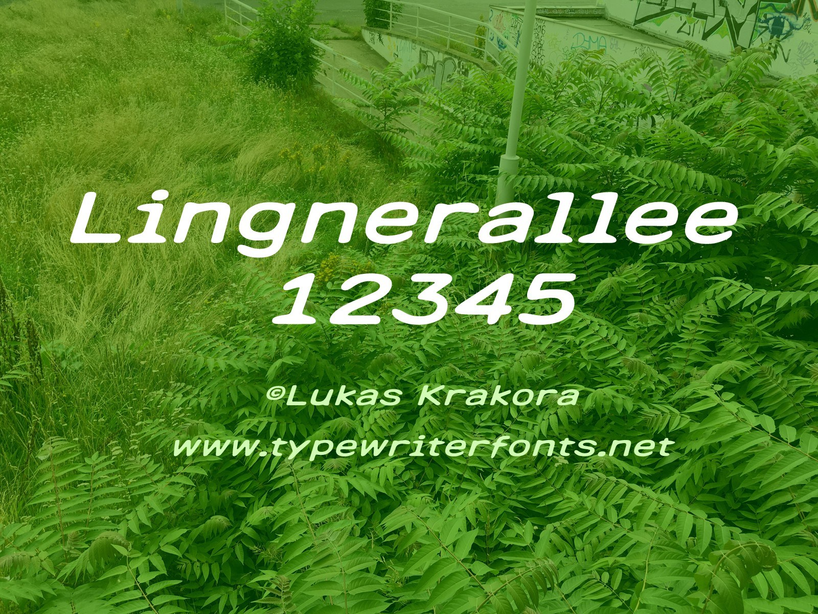 Lingnerallee 12345